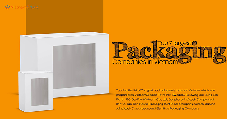 Top 7 largest packaging companies in Vietnam